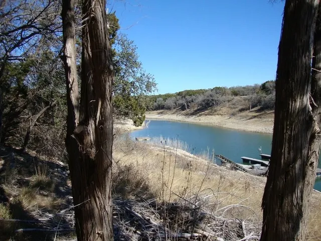 a view of a green field with trees in the background