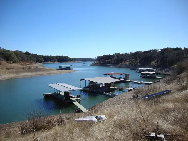 a view of a dry yard