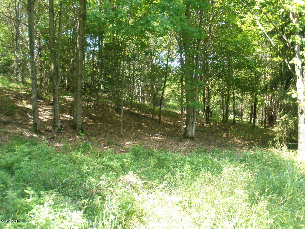 Pflaster Road Damascus, PA 18415 - Photo 3 of 7