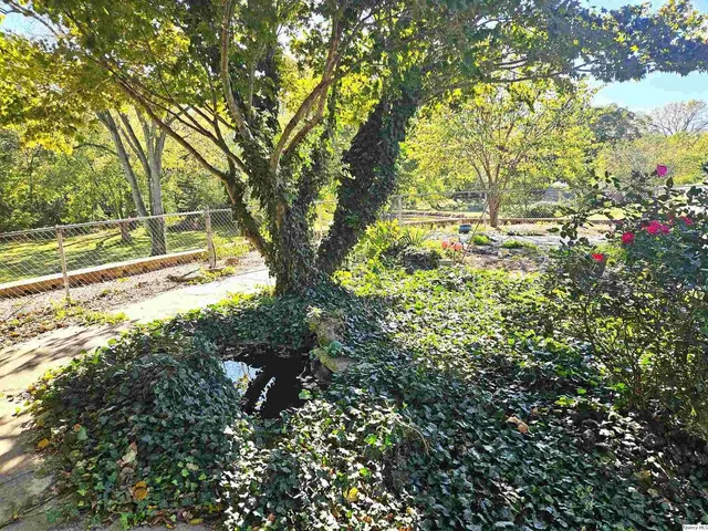 a view of empty room with fireplace and window