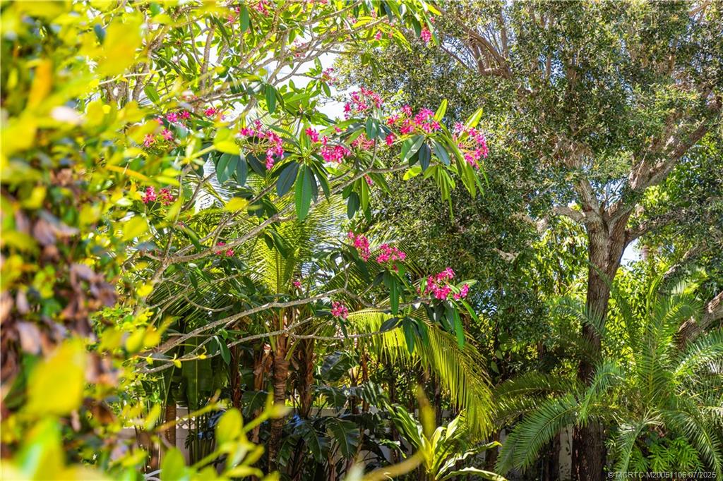 4 Emarita Way Stuart, FL 34996 - Photo 42 of 47 a flower view in a garden