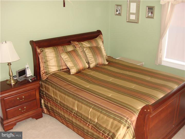19 Congress Avenue Springfield, PA 19064 - Photo 12 of 18 Bedroom - Main