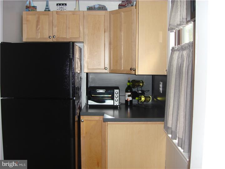 19 Congress Avenue Springfield, PA 19064 - Photo 9 of 18 Kitchen