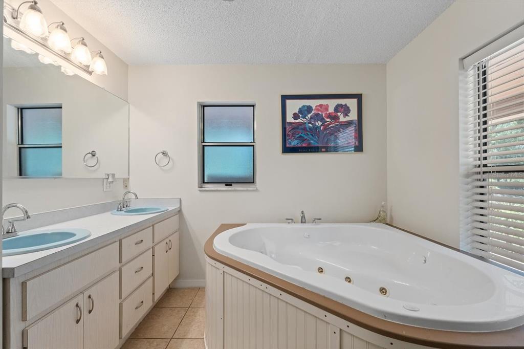 13719 Seminole Trail Wimauma, FL 33598 - Photo 23 of 68 a bathroom with a tub sink and mirror