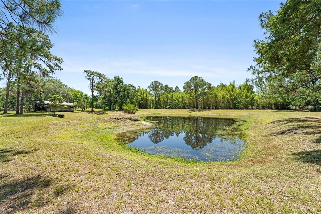 13719 Seminole Trail Wimauma, FL 33598 - Photo 51 of 68 a view of a lake with a yard