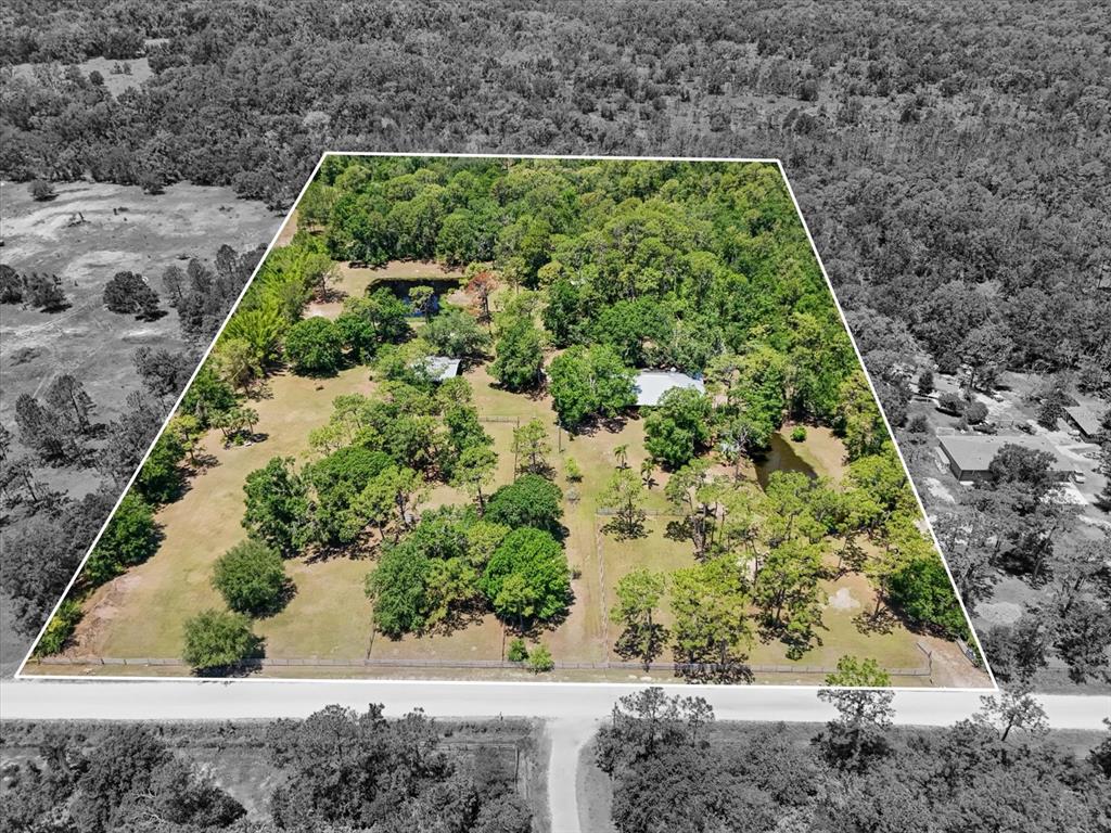 13719 Seminole Trail Wimauma, FL 33598 - Photo 55 of 68 a view of a yard with plants