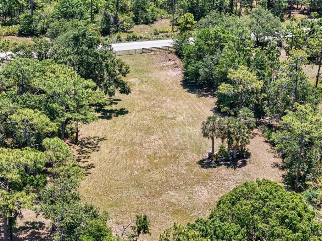 13719 Seminole Trail Wimauma, FL 33598 - Photo 61 of 68 a view of a yard with plants and large trees