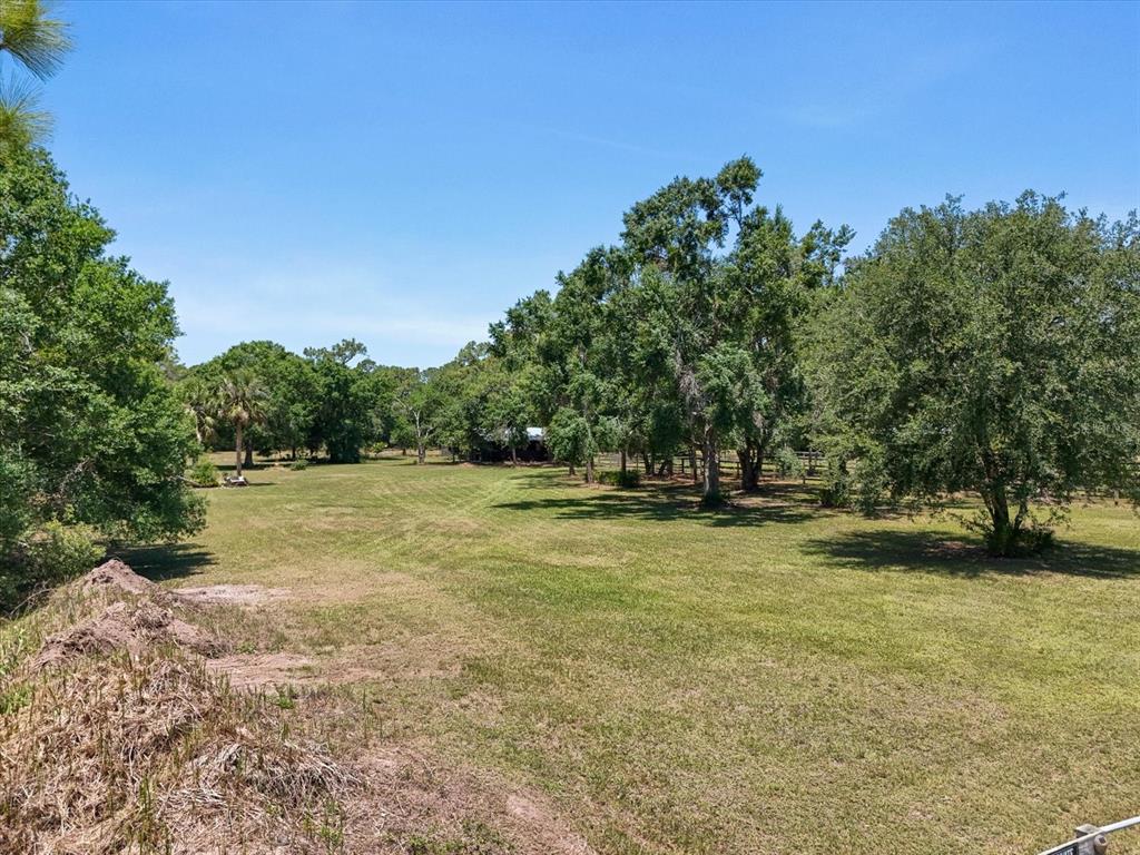 13719 Seminole Trail Wimauma, FL 33598 - Photo 62 of 68 a view of yard with green space
