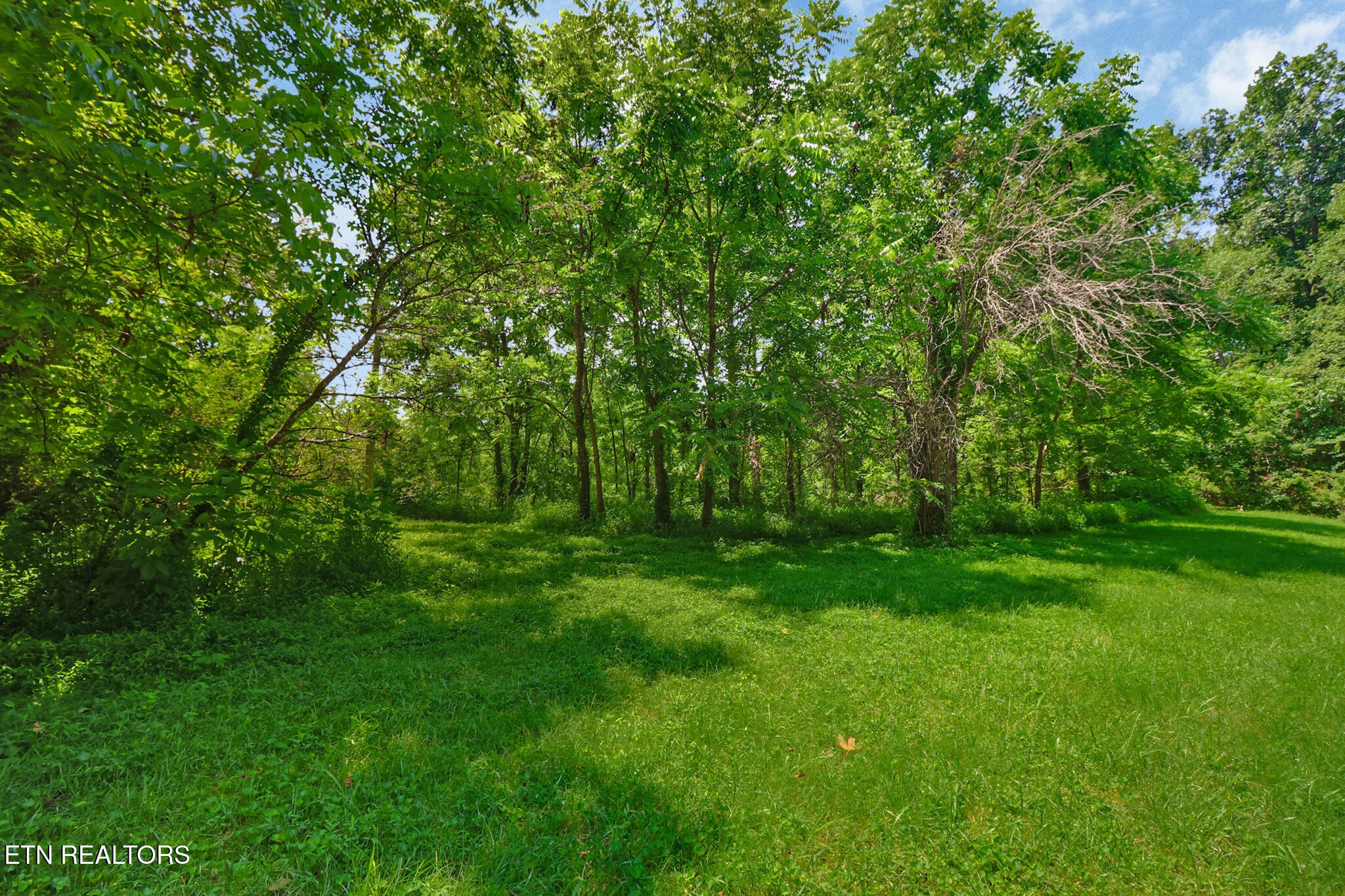 0 Mt Helen Road Allardt, TN 38504 - Photo 2 of 33 Gallery Image 2
