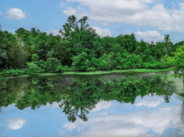 a view of a lake with a street