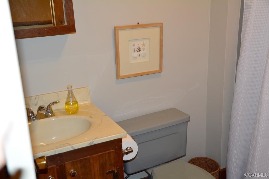 399 Chellowe Road Dillwyn, VA 23936 - Photo 19 of 50 a bathroom with a sink and a toilet