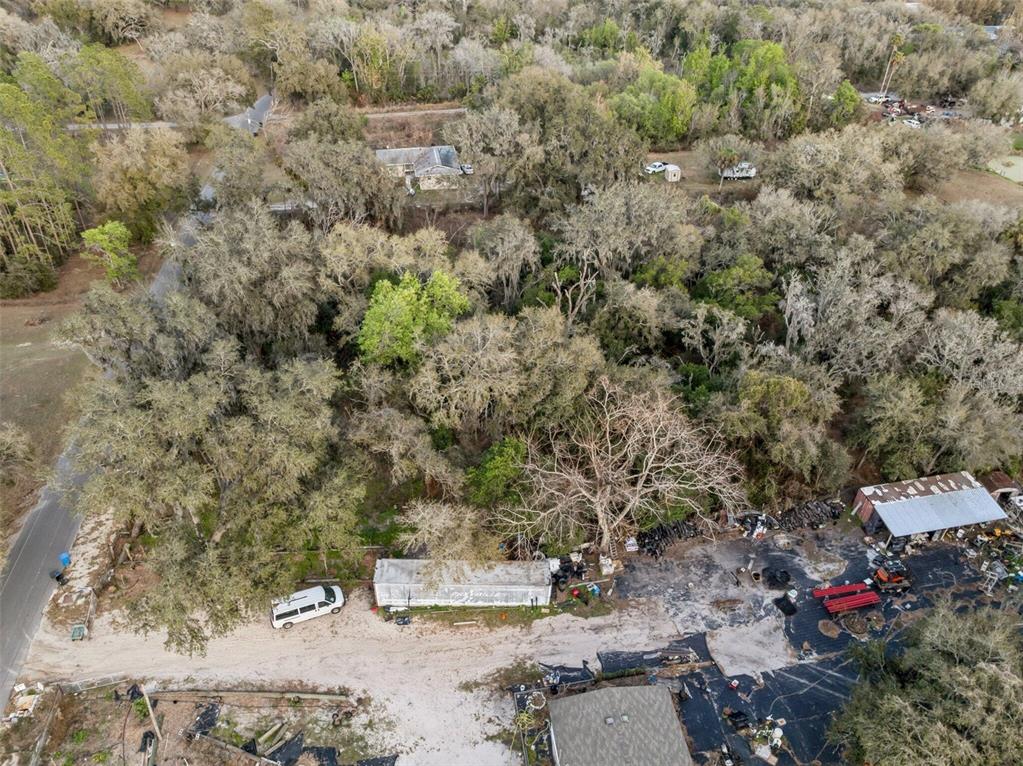 11119 Bessie Dix Road Seffner, FL 33584 - Photo 10 of 12