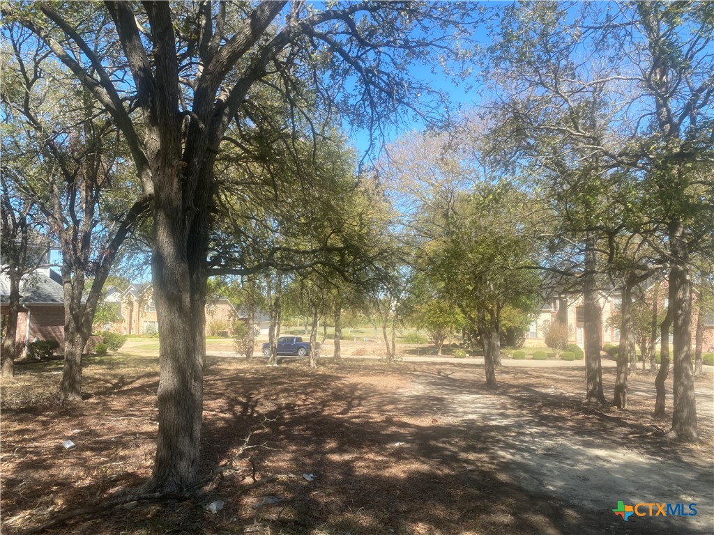 5111 Sunflower Lane Temple, TX 76502 - Photo 4 of 4