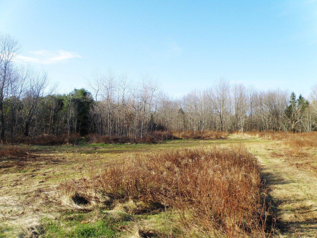 0 Us Route, Unit RT Stockton Springs, ME 04981 - Photo 1 of 18 P1010752