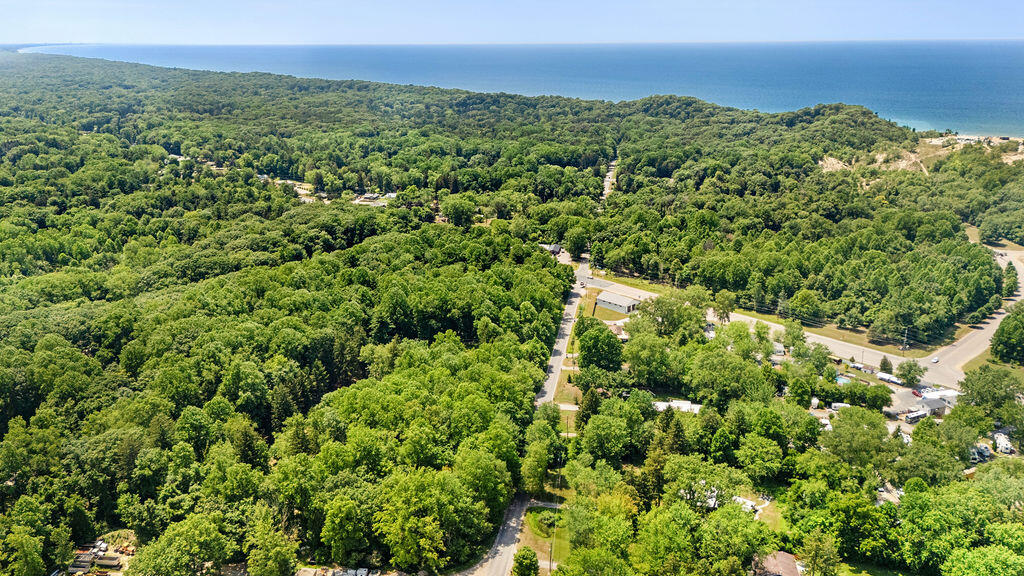 5831 Browntown Road Sawyer, MI 49125 - Photo 39 of 42 38