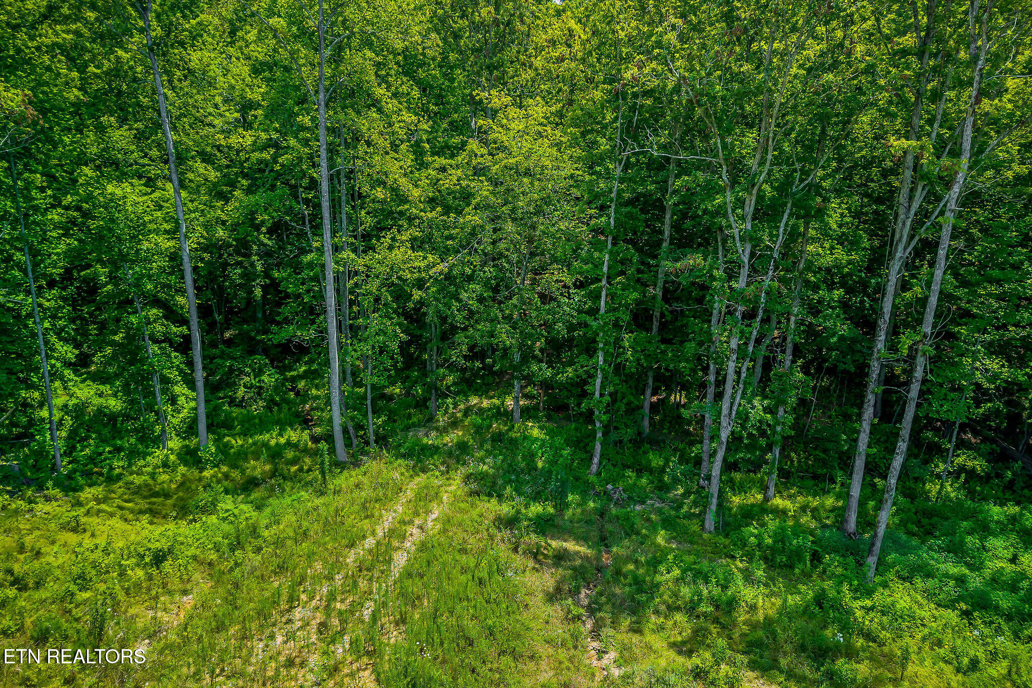 1899 Cow Pen Road Crossville, TN 38571 - Photo 13 of 53 DJI_20250729123946_0039_D