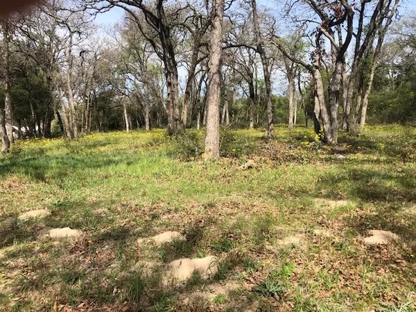 a view of outdoor space with trees all around