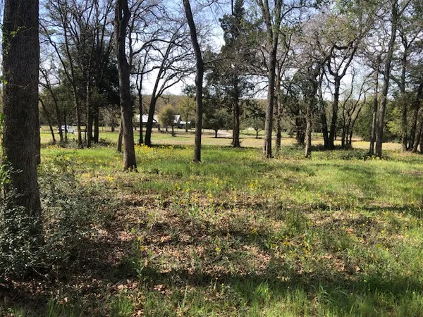 a view of a field with trees