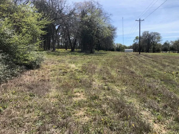a view of a grassy field with trees in the background