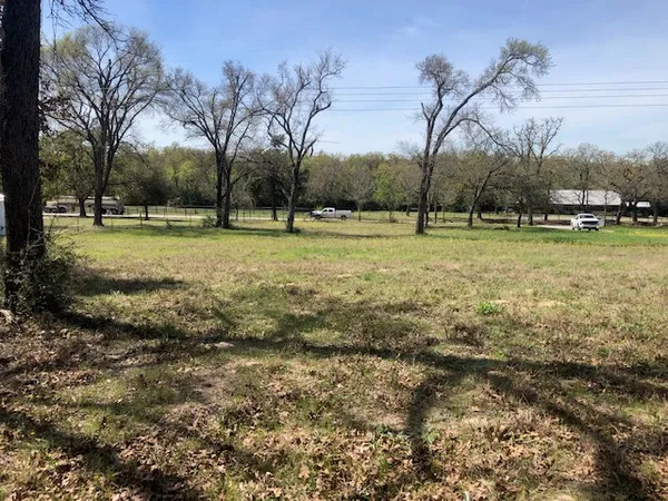 a view of a field with tree s