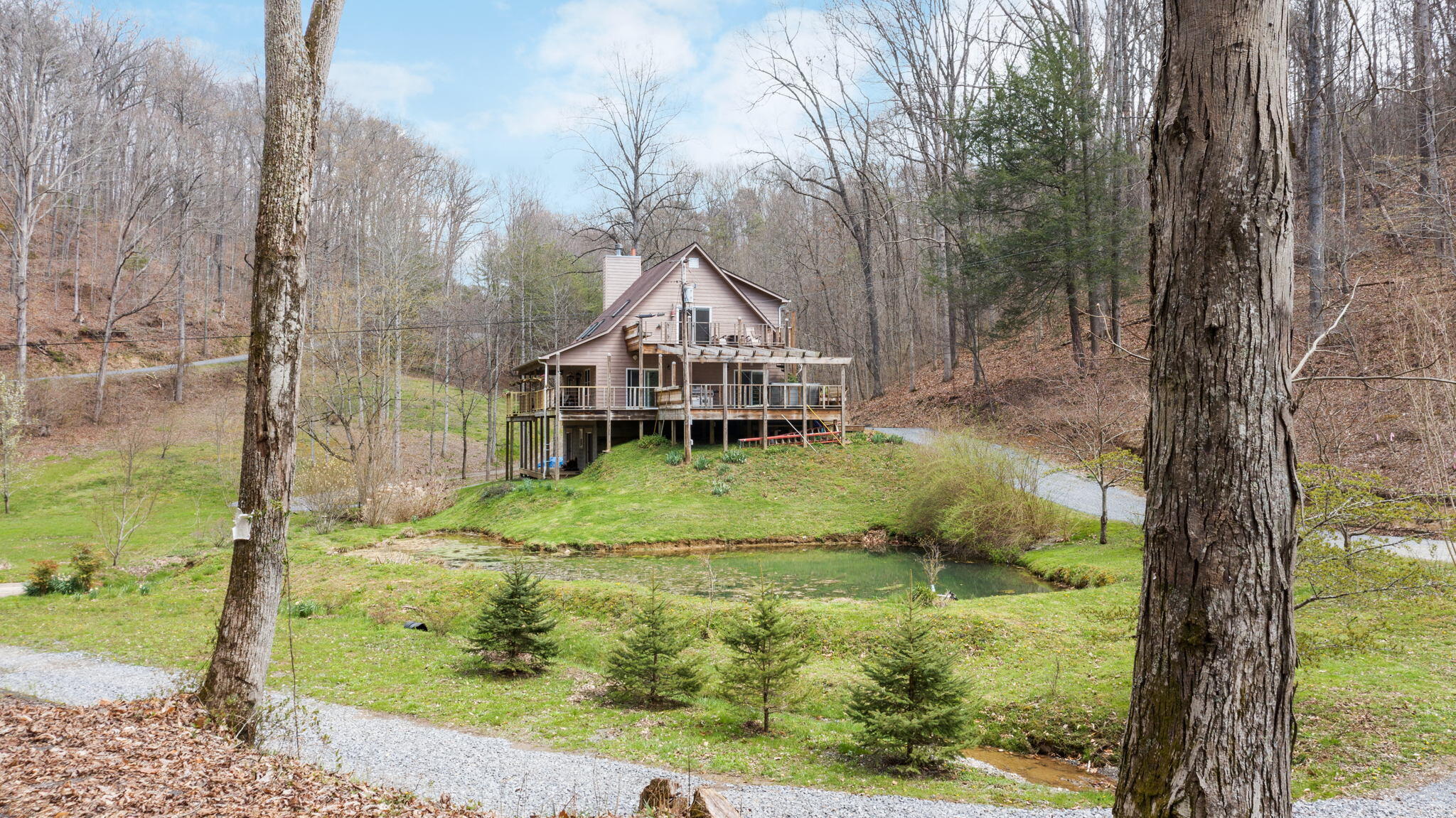 709 Brown Mountain Road Greeneville, TN 37745 - Photo 3 of 41 SIDE VIEW