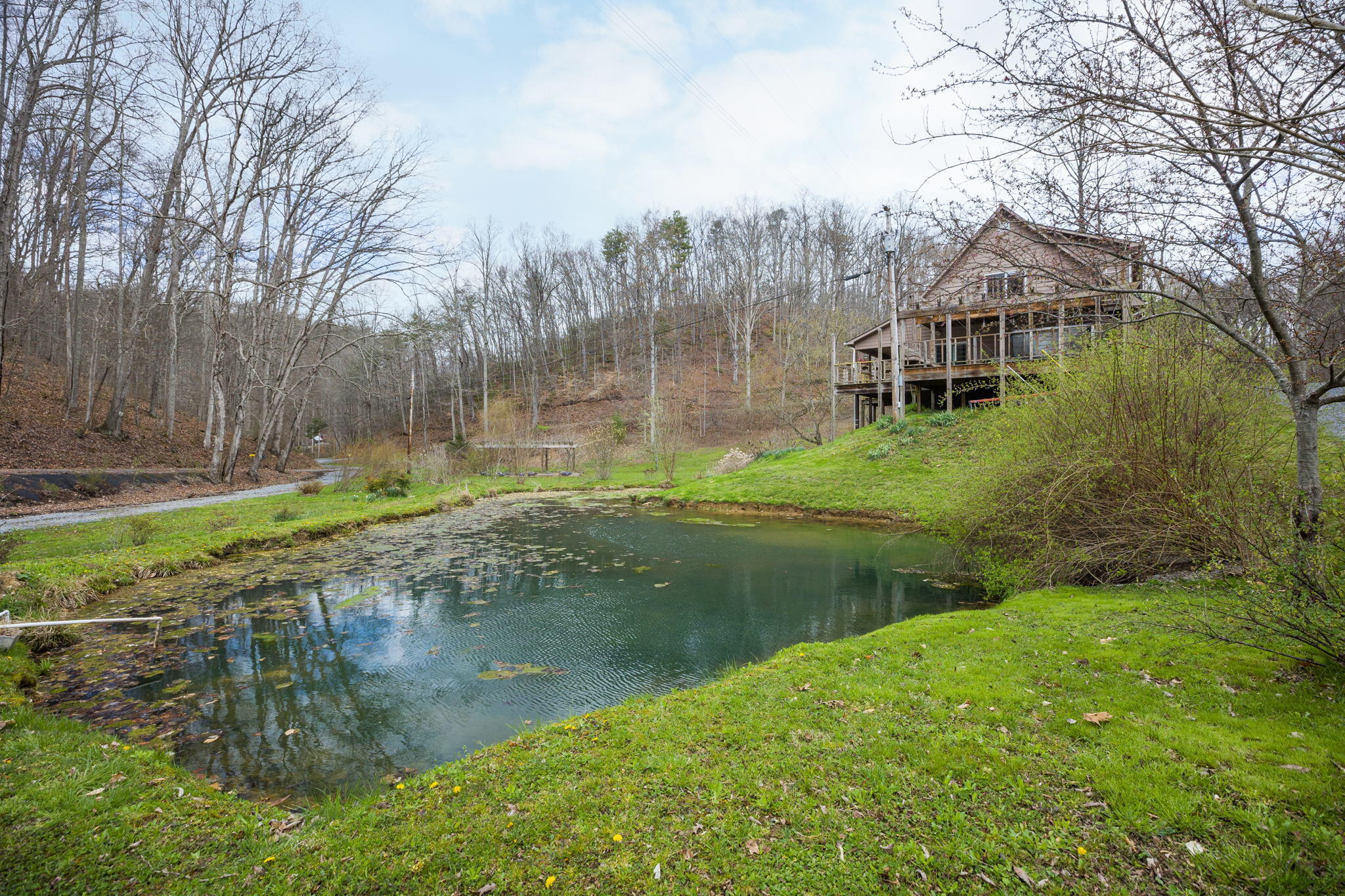 709 Brown Mountain Road Greeneville, TN 37745 - Photo 5 of 41 SIDE VIEW
