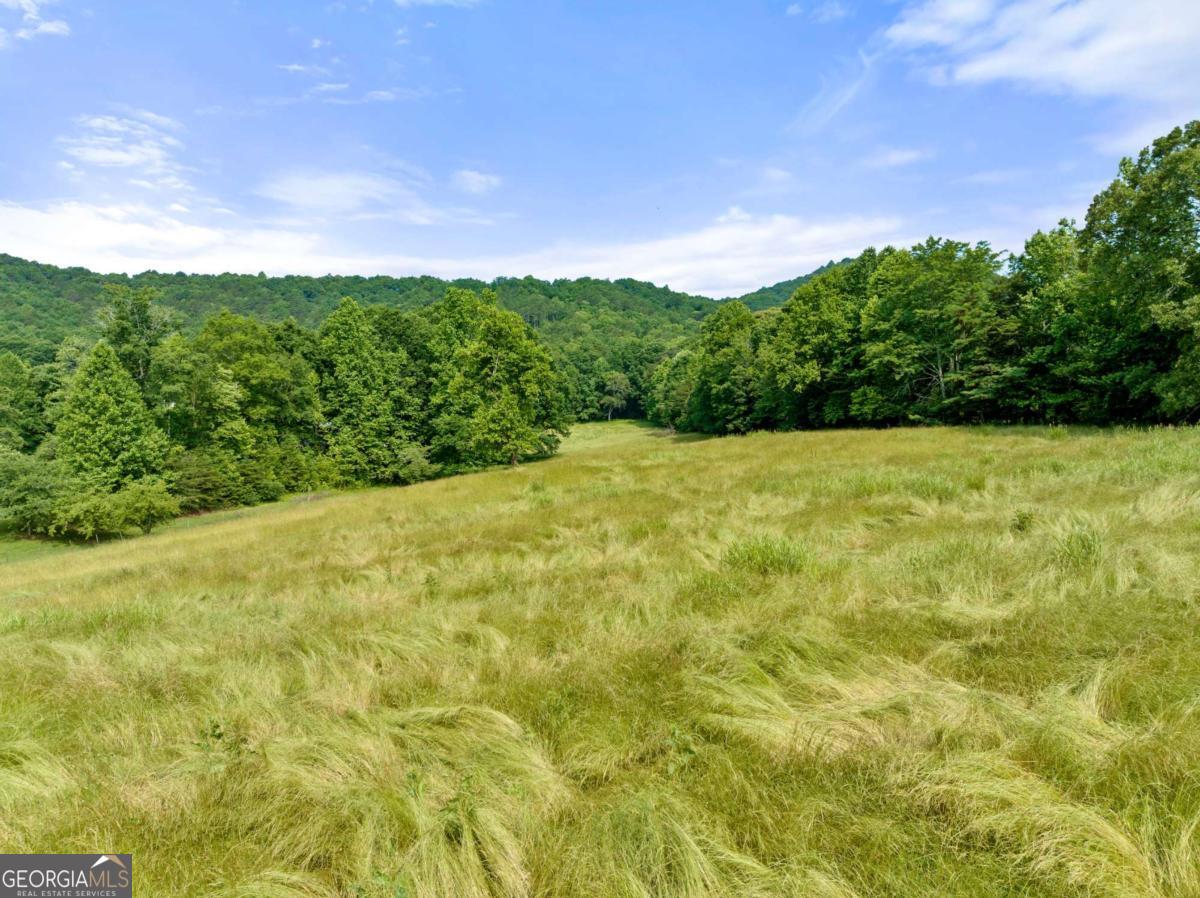 0 Freeman View Trail, Unit LOT #4 Cleveland, GA 30528 - Photo 6 of 14 a view of outdoor space with mountain in the background