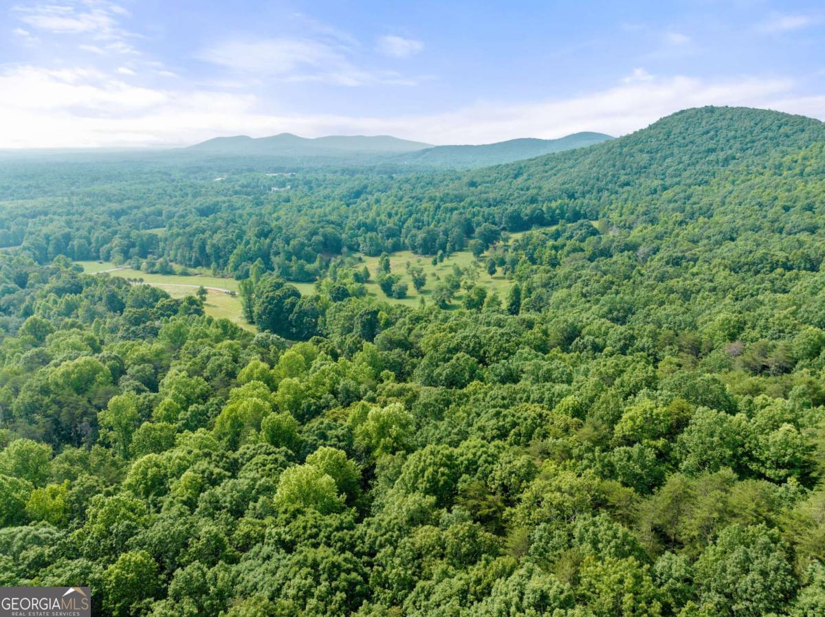 0 Freeman View Trail, Unit LOT #4 Cleveland, GA 30528 - Photo 7 of 14 a view of a green field with lots of bushes
