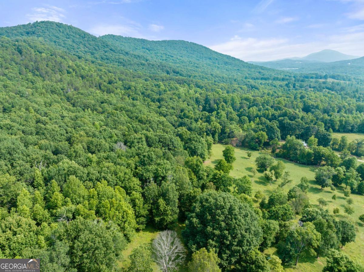 0 Freeman View Trail, Unit LOT #4 Cleveland, GA 30528 - Photo 8 of 14 a view of a lush green forest with a mountain