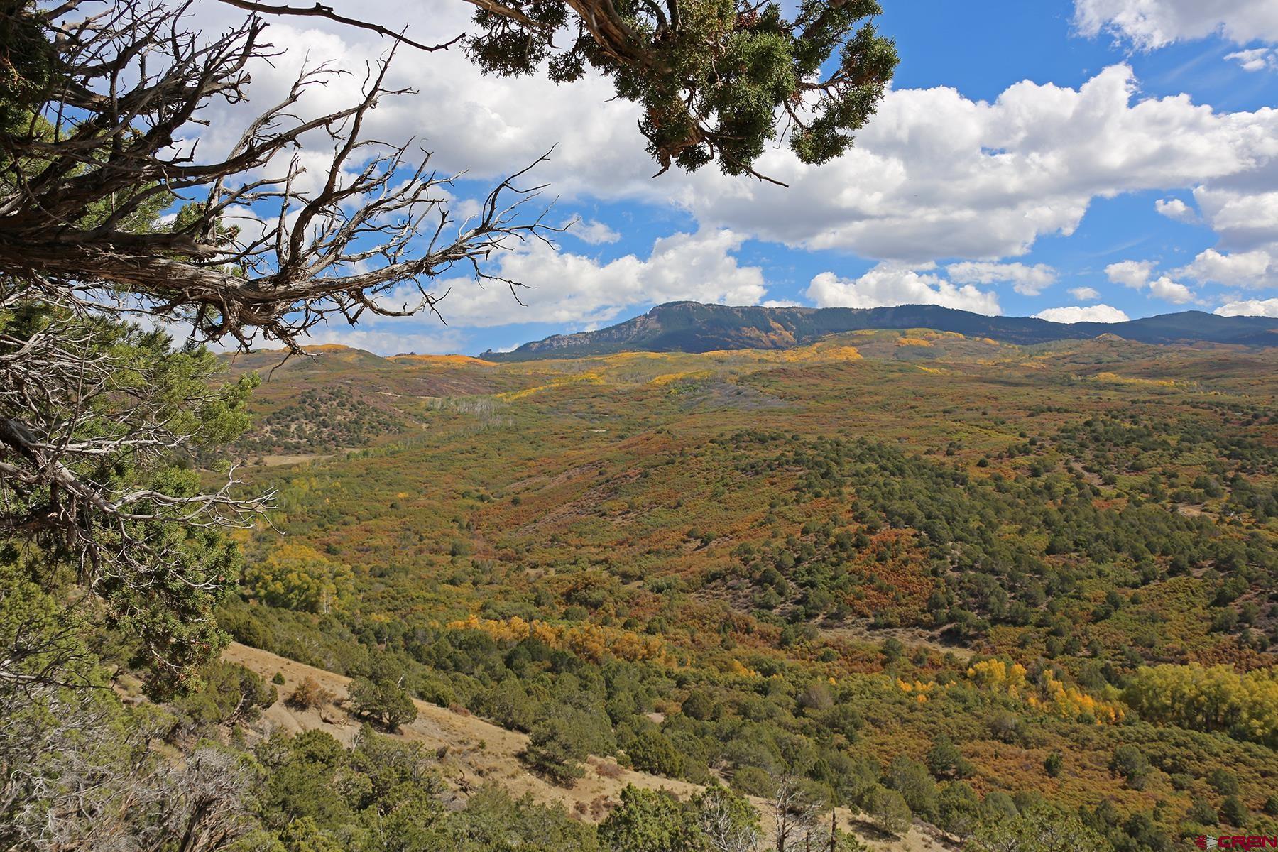 Tbd Buckhorn Road Montrose, CO 81403 - Photo 2 of 10