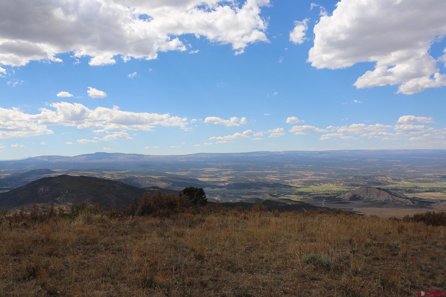 Tbd Buckhorn Road Montrose, CO 81403 - Photo 6 of 10
