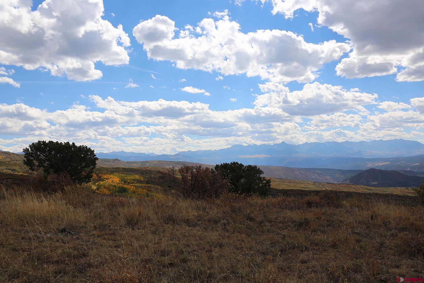 Tbd Buckhorn Road Montrose, CO 81403 - Photo 8 of 10 a view of a lake in middle of forest