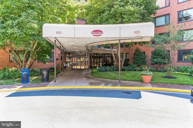 a view of a park with large trees and plants
