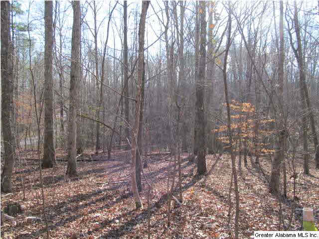 1 Signal Valley Trail Chelsea, AL 35043 - Photo 8 of 10