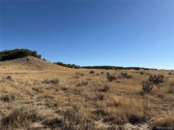 $30,000 | 316 Longhorn Ranch, Model, CO 81059