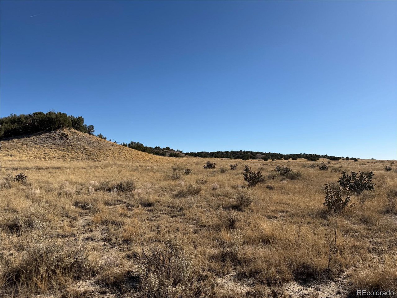 316 Longhorn Ranch Model, CO 81059 - Photo 7 of 7