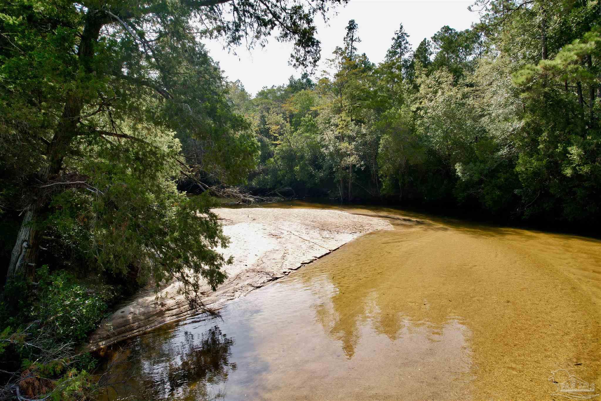 1617 Christmas Tree Road Milton, FL 32570 - Photo 12 of 20 Gallery Image 12