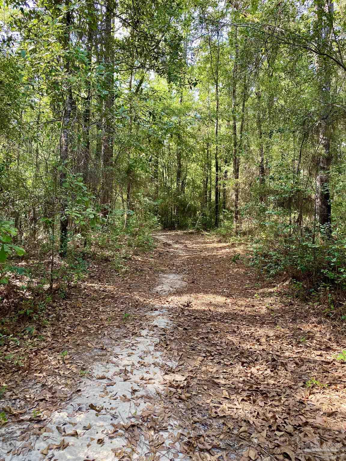 1617 Christmas Tree Road Milton, FL 32570 - Photo 9 of 20 Gallery Image 9