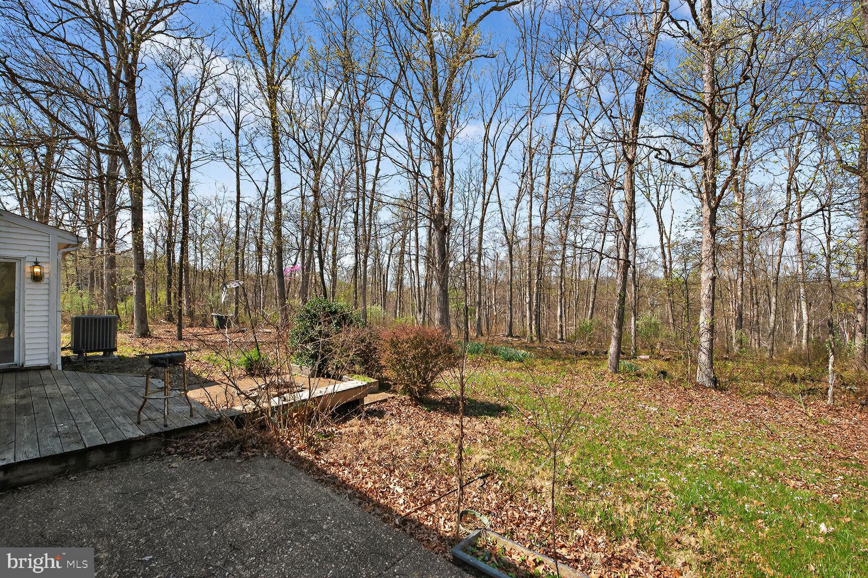 21733 Oatlands Road Aldie, VA 20105 - Photo 46 of 50 a backyard of a house with lots of green space