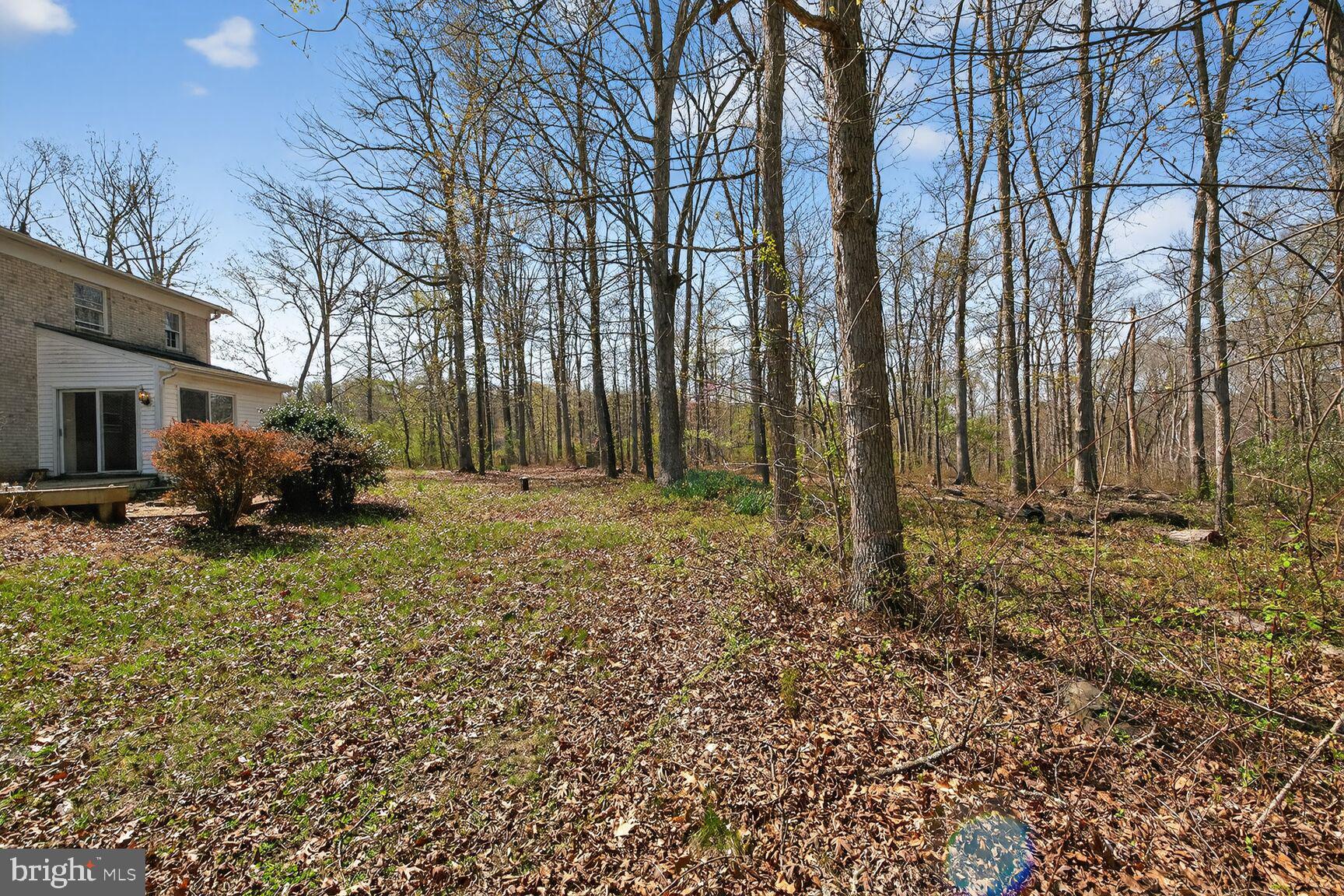 21733 Oatlands Road Aldie, VA 20105 - Photo 49 of 50 a backyard of a house with lots of green space