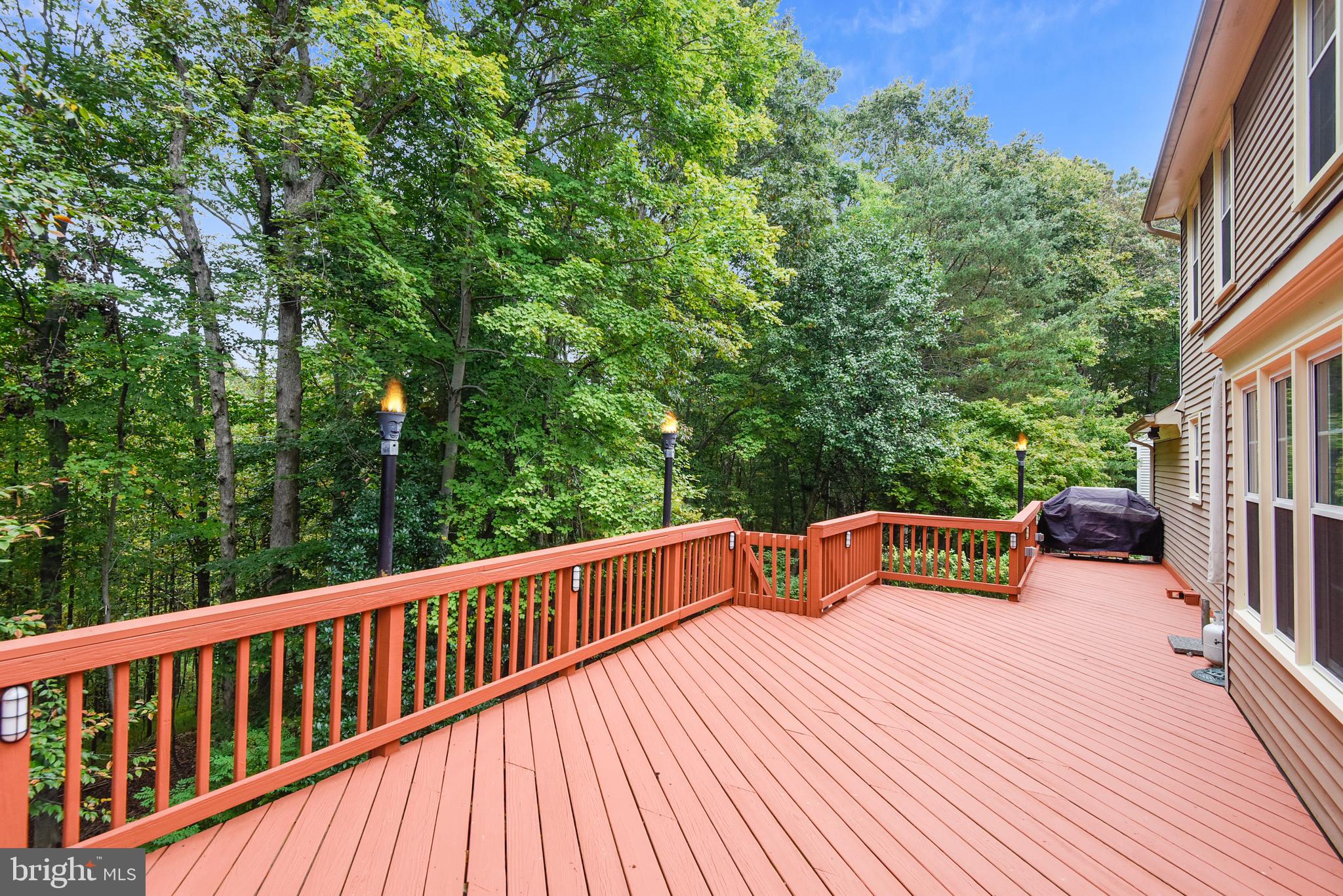 7438 Shepherd Ridge Court Springfield, VA 22153 - Photo 43 of 59