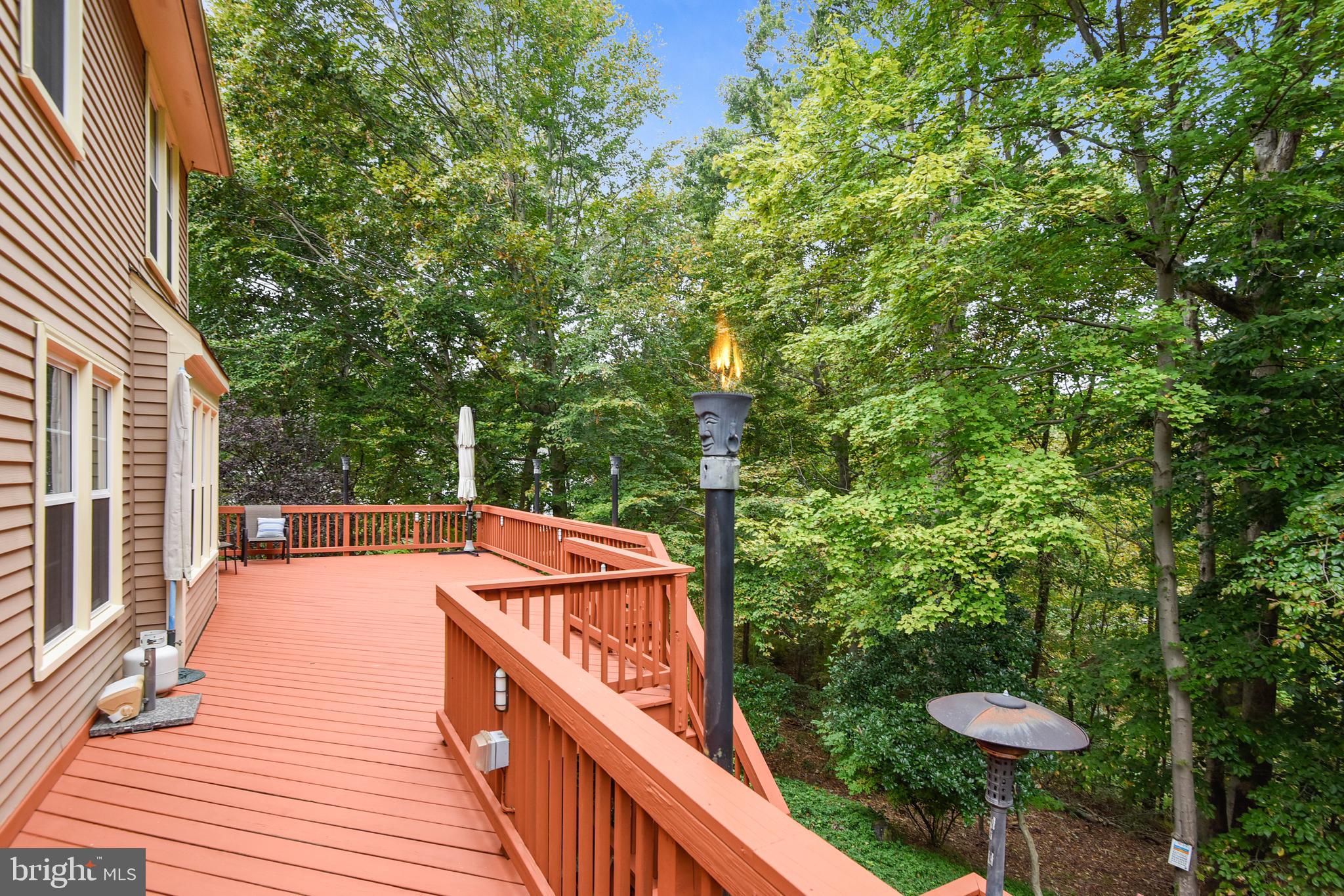 7438 Shepherd Ridge Court Springfield, VA 22153 - Photo 45 of 59