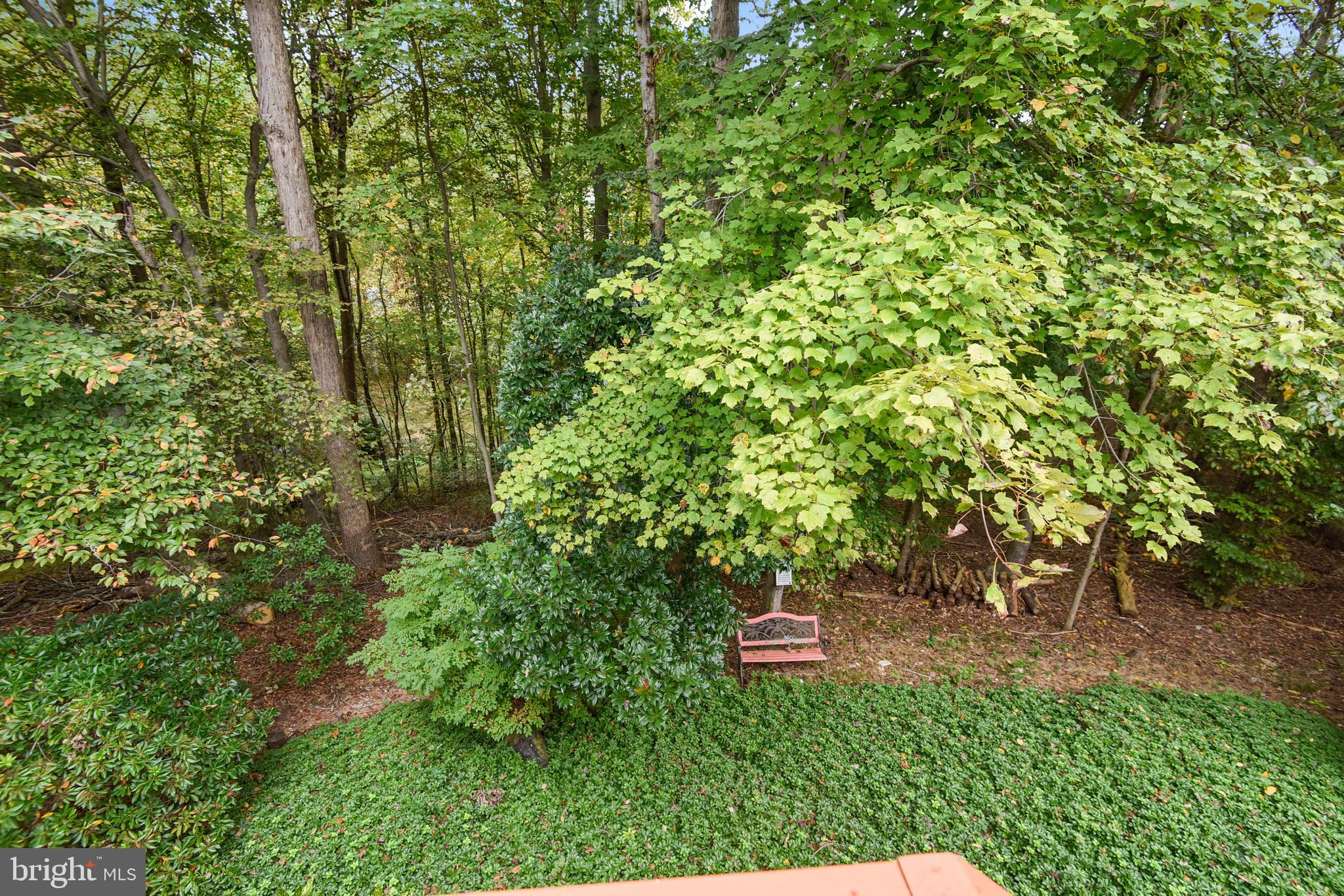7438 Shepherd Ridge Court Springfield, VA 22153 - Photo 47 of 59