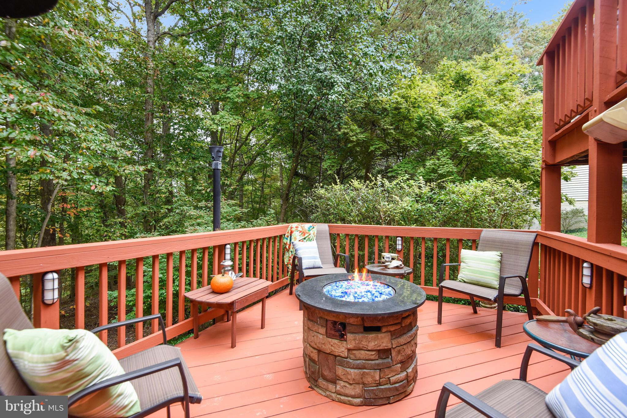 7438 Shepherd Ridge Court Springfield, VA 22153 - Photo 49 of 59