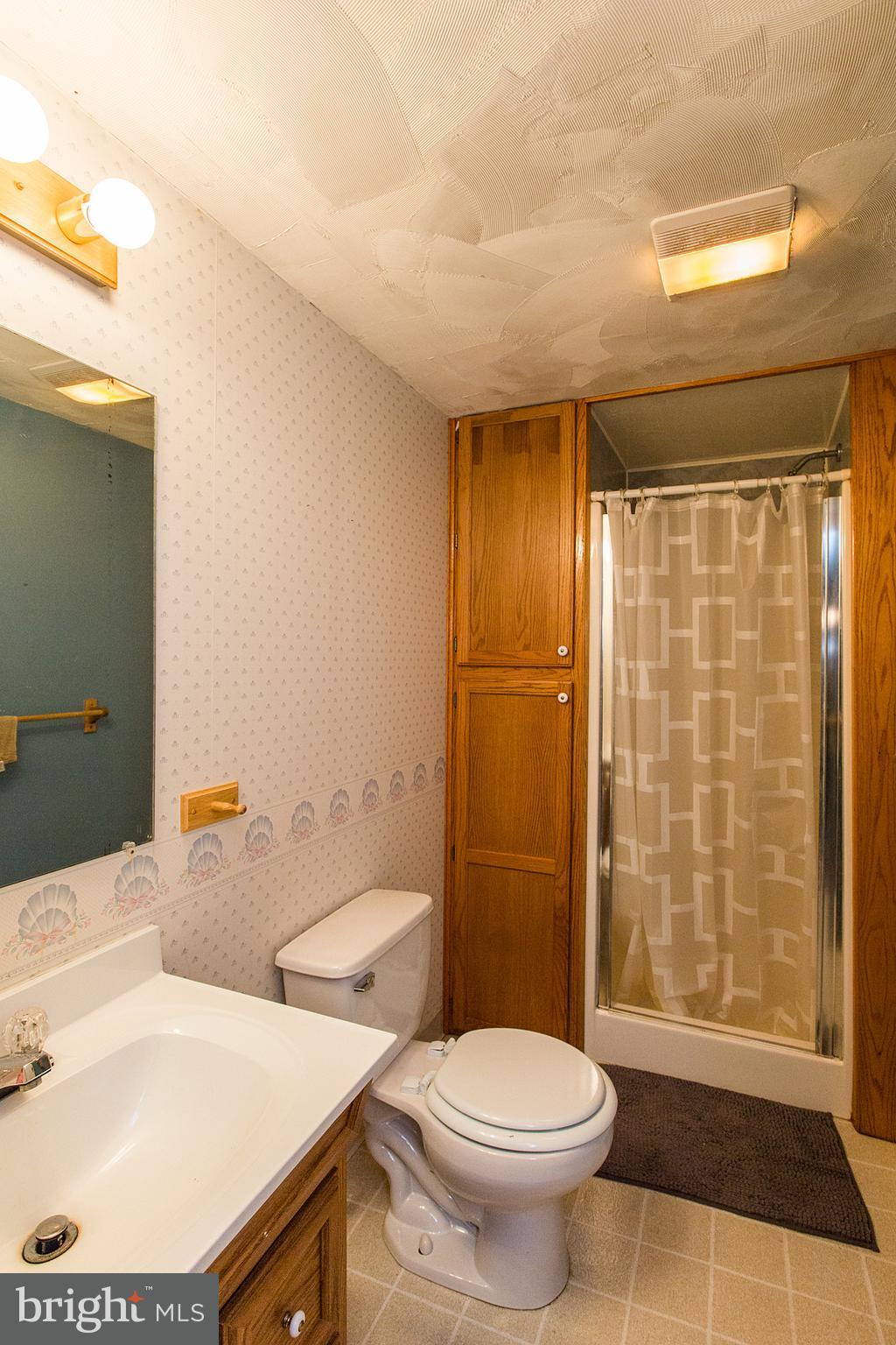 519 East Newport Road Lititz, PA 17543 - Photo 25 of 32 lower level full bathroom
