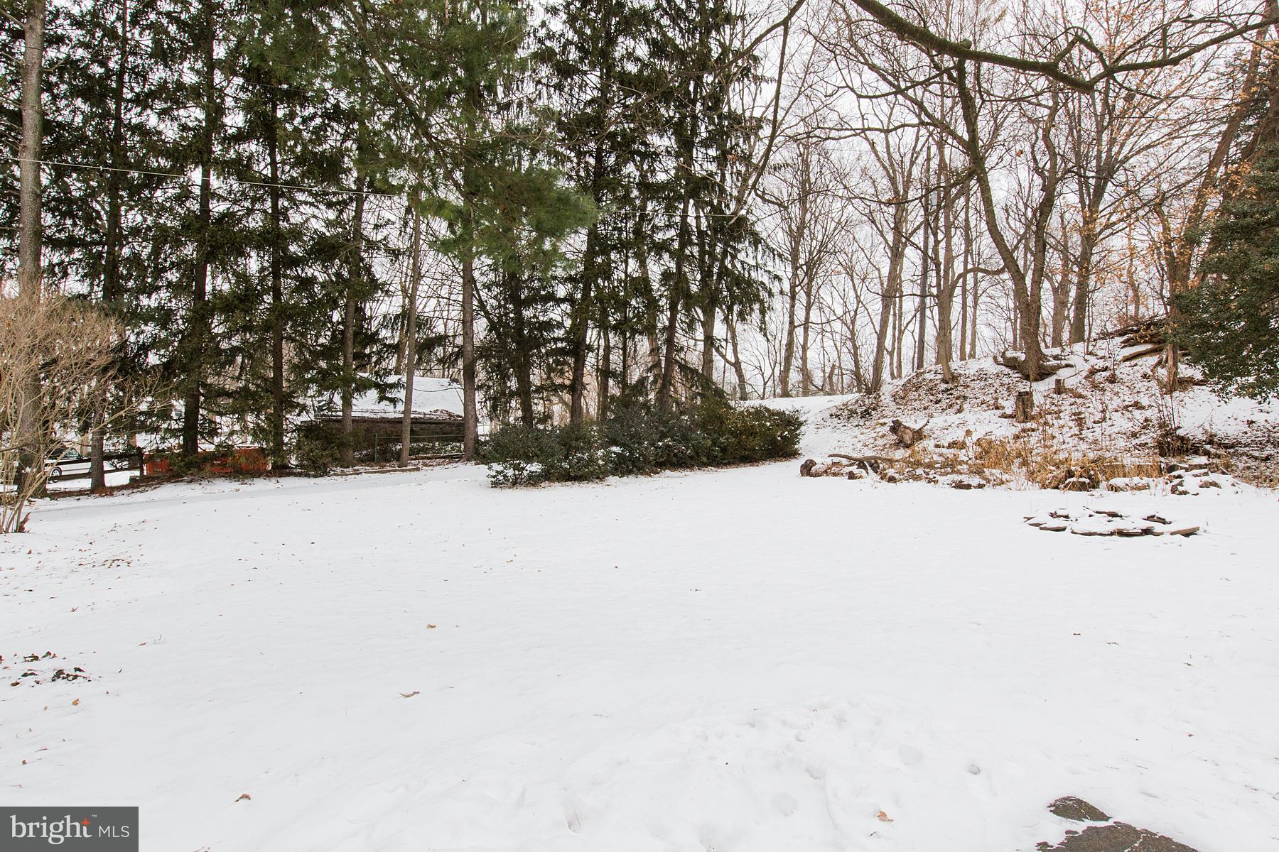 519 East Newport Road Lititz, PA 17543 - Photo 30 of 32 yard space