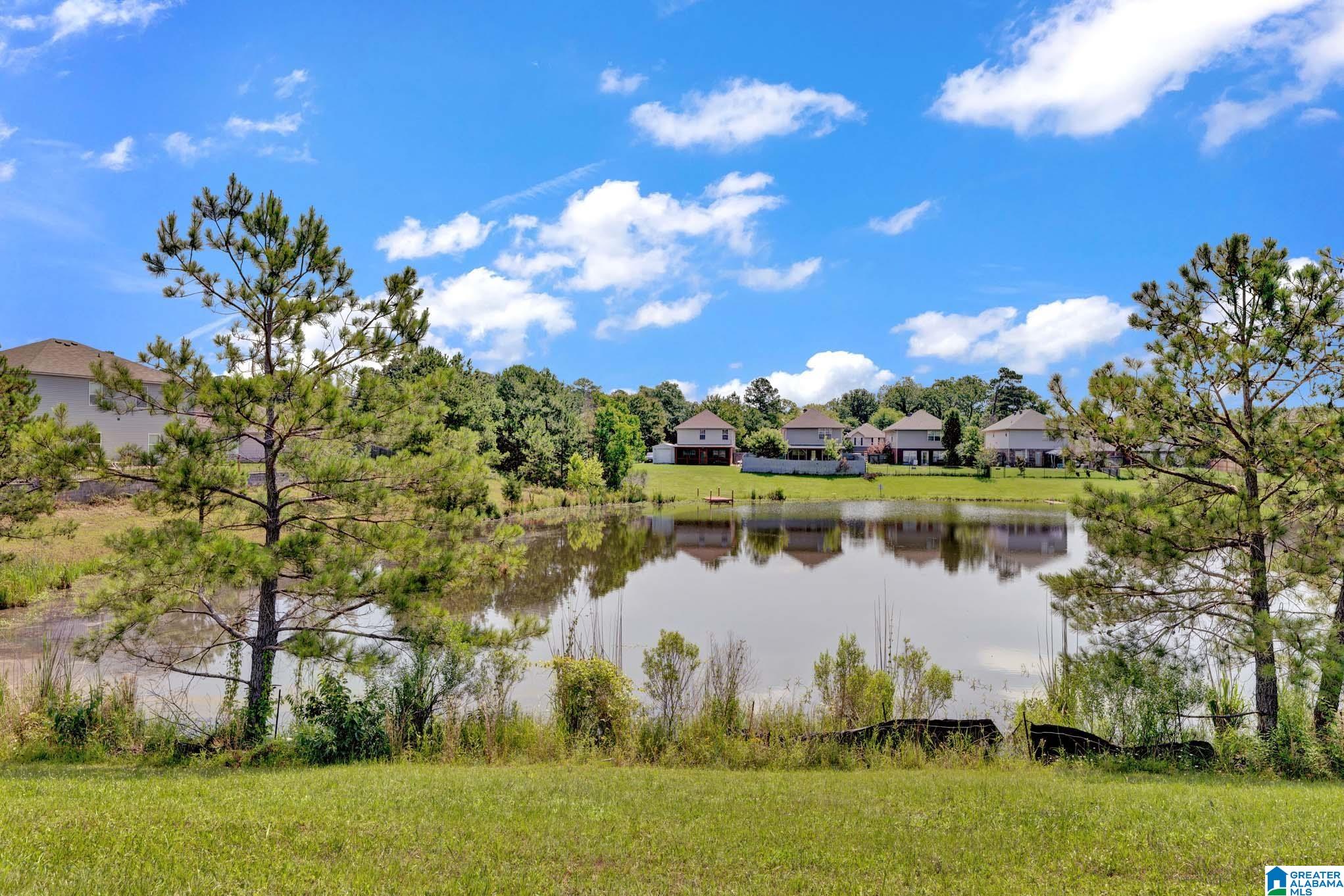 166 Dallas Lane Montevallo, AL 35115 - Photo 22 of 22