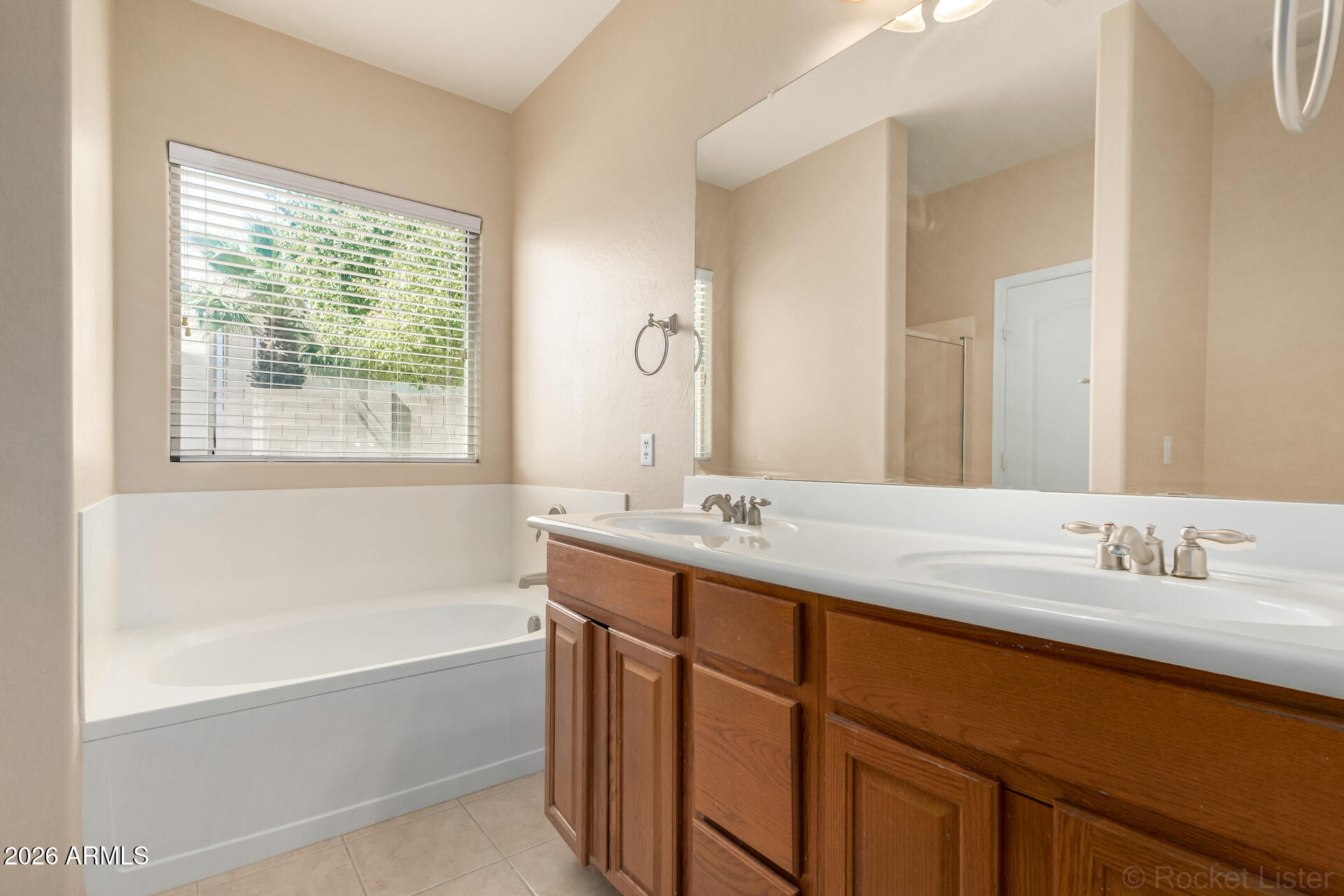 28314 North Crimm Road San Tan Valley, AZ 85143 - Photo 16 of 31 a bathroom with a tub sink and mirror