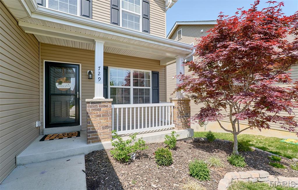 729 Phoenix Drive O'Fallon, MO 63368 - Photo 18 of 88