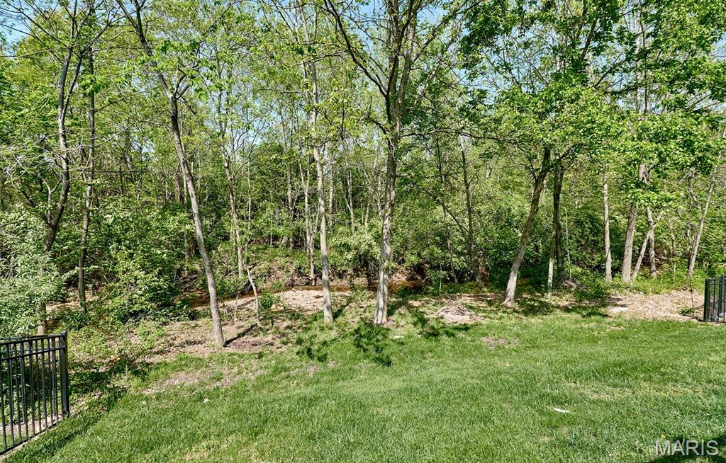 729 Phoenix Drive O'Fallon, MO 63368 - Photo 76 of 88